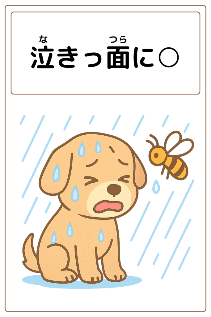 ことわざクイズ：泣きっ面に〇。〇に入る漢字は何でしょう？